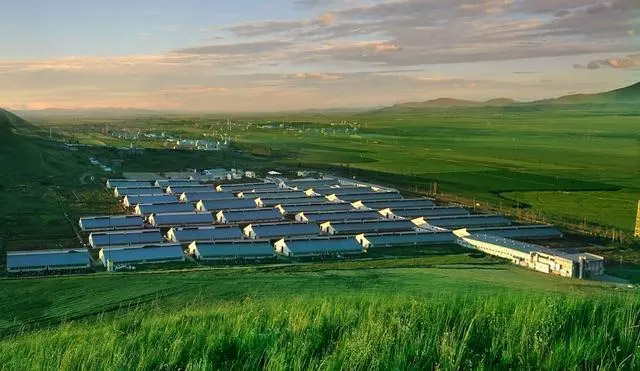 神木澳牛牧業(yè)有限公司