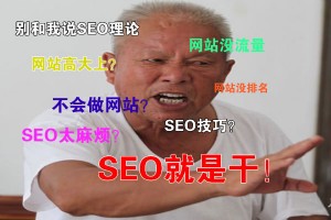 SEO就是干!不要再觀望了