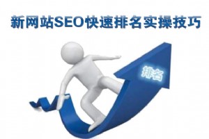 新網站SEO快速排名實操技巧
