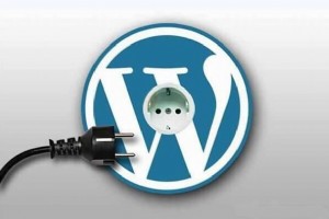 WORDPRESS頁面?zhèn)戊o態(tài)怎么設(shè)置利于SEO優(yōu)化