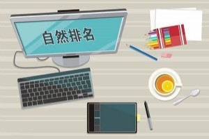 百度自然排名優(yōu)化規(guī)律淺析