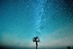 個性心情語錄：多少人曾用一顆赤誠之心，喂養