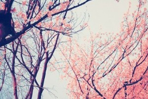 笑死人的句子：知道你過得不好，我也就安心了