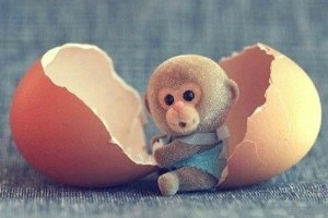 空間搞笑說說：這么不要臉，這么沒心沒肺，你