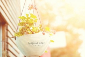 很賤的QQ說說：世上有兩種東西會趴玻璃，一個是