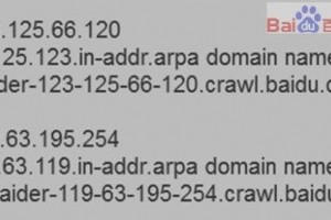 如何正確識別百度蜘蛛?只需做這兩點