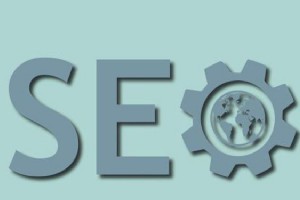 分析網站快照存檔及更新原因，實施網站回歸快